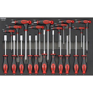 SFS TX and socket wrench set, 21 pieces.